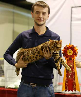 �������� ����� 20-21 �������� 2014 WCF-�����  4-178-169A2090 copy.jpg